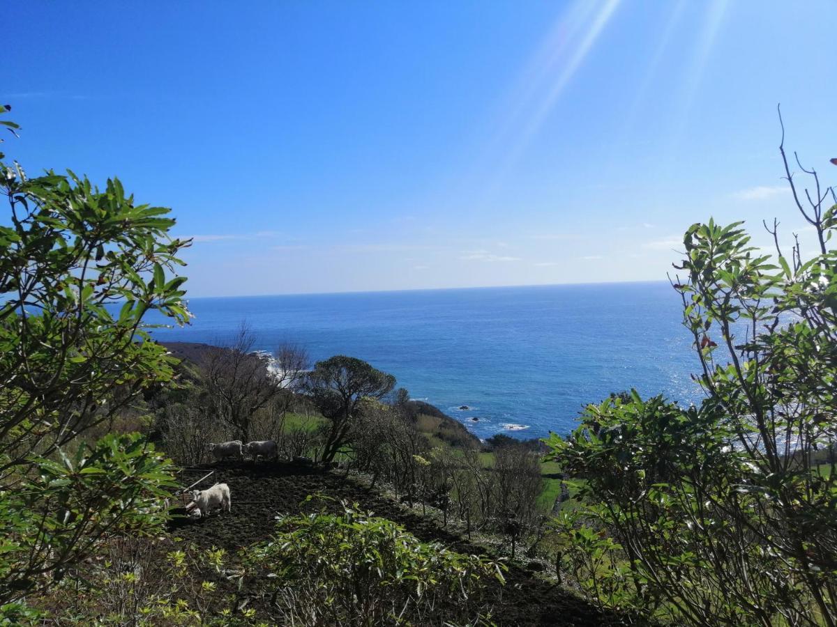 A Casa Do Ti Mendonca Villa Lajes das Flores Dış mekan fotoğraf